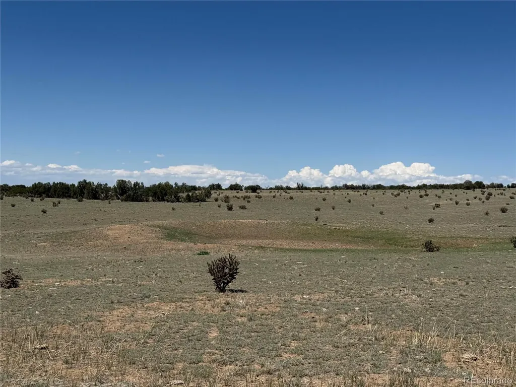 169 Tyrone Hills Walsenburg CO 81089