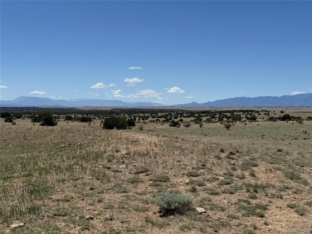 169 Tyrone Hills Walsenburg CO 81089