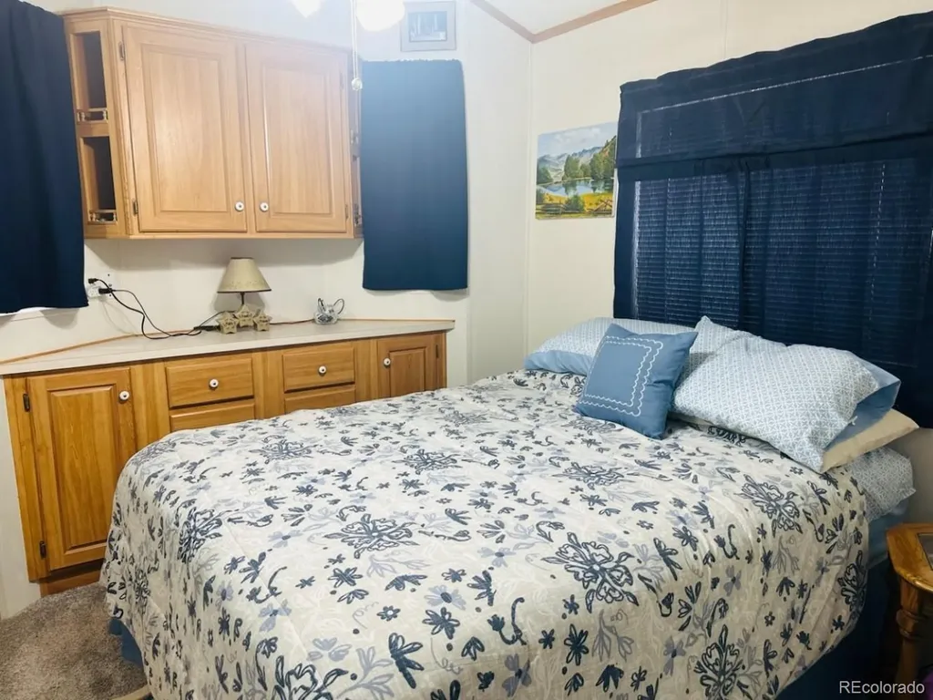 28 Okie Lane South Fork CO 81154