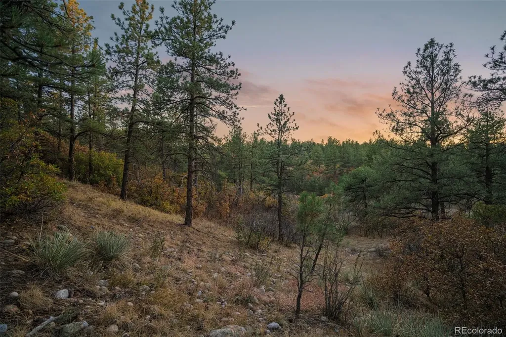 11011 Sunset Oaks Place Franktown CO 80116