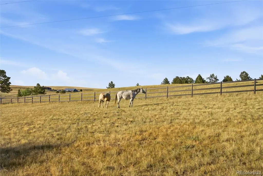 47682 Knibbe Court Parker CO 80138