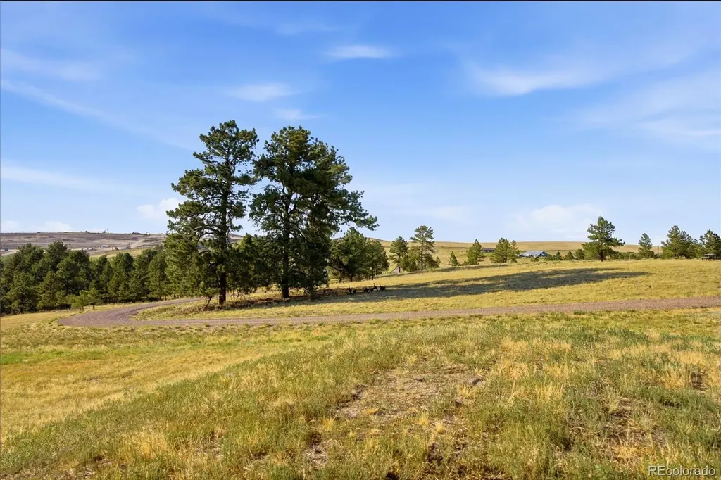 47682 Knibbe Court Parker CO 80138