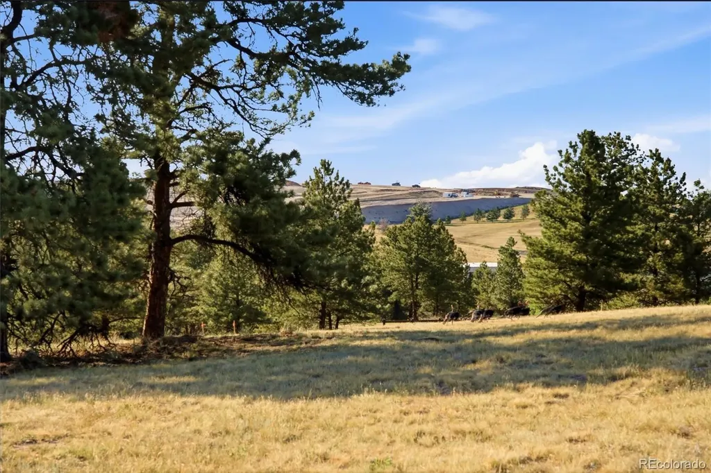 47682 Knibbe Court Parker CO 80138