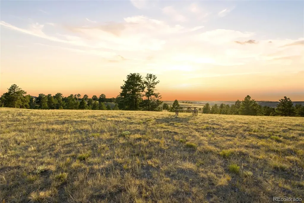 47682 Knibbe Court Parker CO 80138