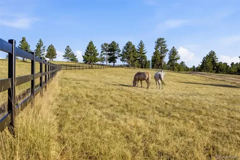 47682 Knibbe Court Parker CO 80138