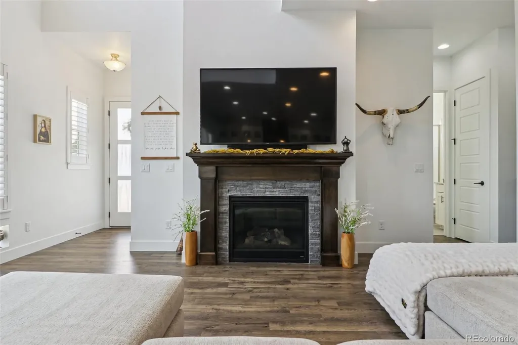 10534 Oncilla Lane Lone Tree CO 80124
