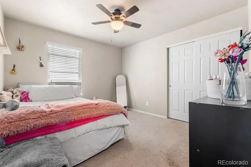 5849 Echo Park Circle Castle Rock CO 80104
