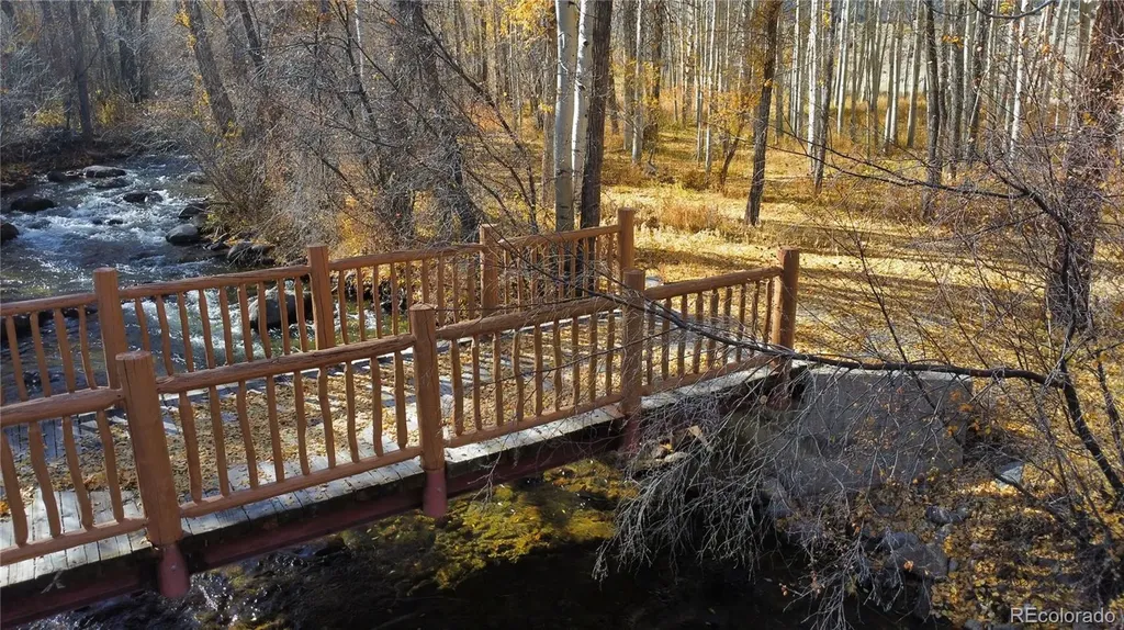 17520 County Road 306 Buena Vista CO 81211