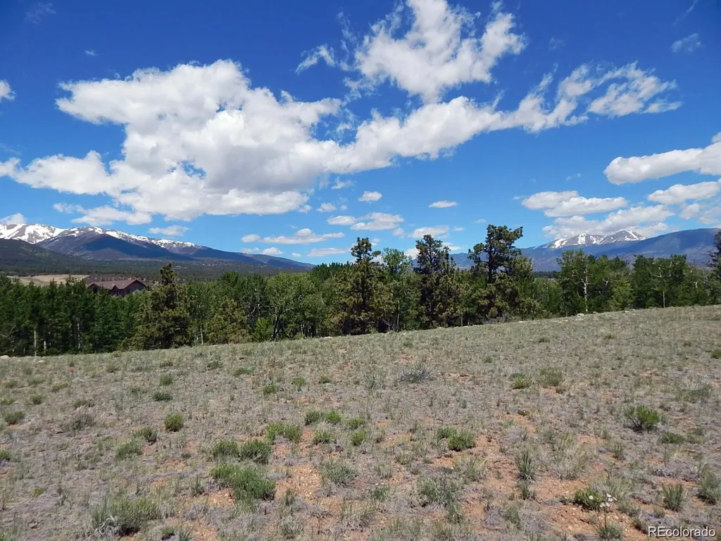 17520 County Road 306 Buena Vista CO 81211