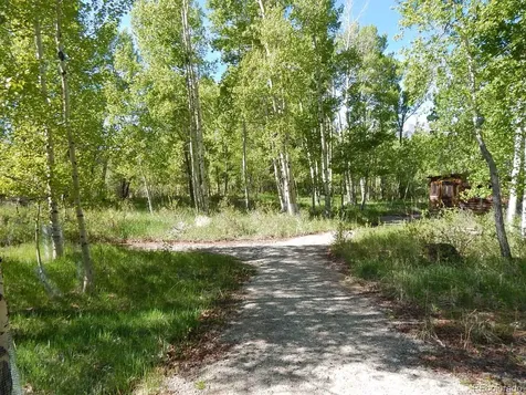 17520 County Road 306 Buena Vista CO 81211