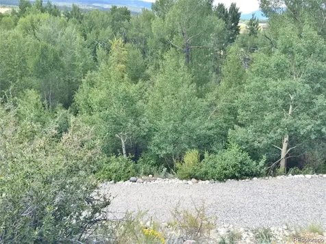 17520 County Road 306 Buena Vista CO 81211