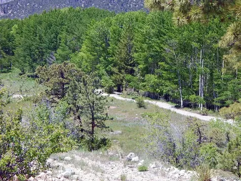 17520 County Road 306 Buena Vista CO 81211