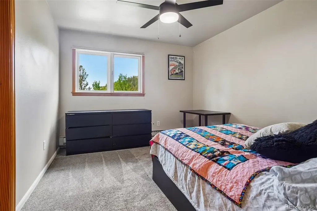 31582 Pike View Drive Conifer CO 80433