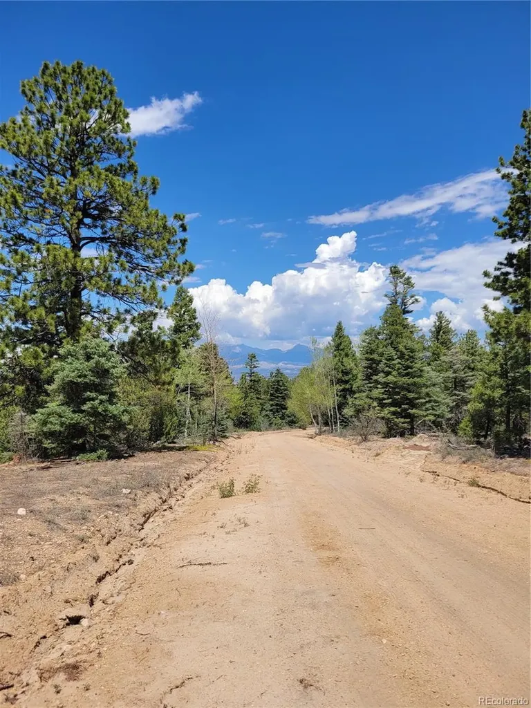 Lots 2716 & 2717 Sesame Road Fort Garland CO 81133