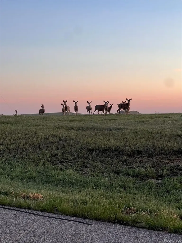 625 Coyote Trail Elizabeth CO 80107