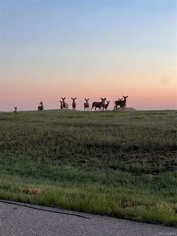 625 Coyote Trail Elizabeth CO 80107