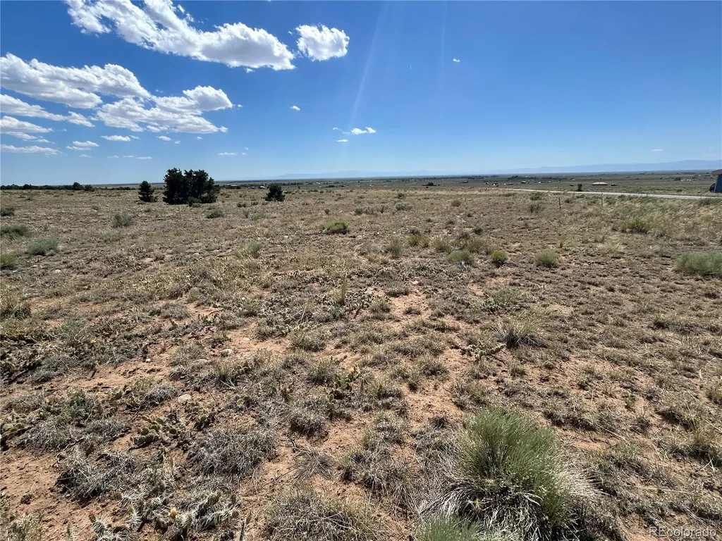 3354 Camino Del Rey Crestone CO 81131