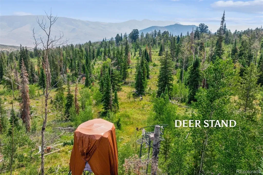 733 Spring Creek Ranch Road Silverthorne CO 80498