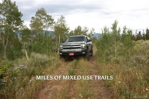 733 Spring Creek Ranch Road Silverthorne CO 80498