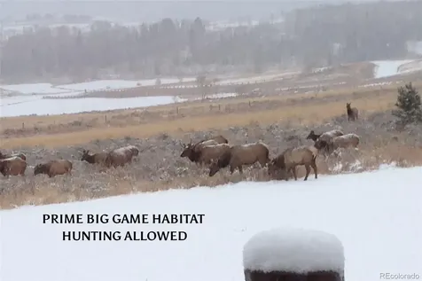 733 Spring Creek Ranch Road Silverthorne CO 80498