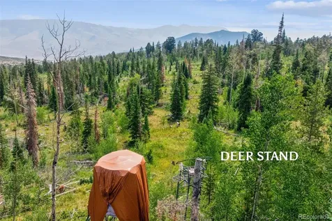 733 Spring Creek Ranch Road Silverthorne CO 80498