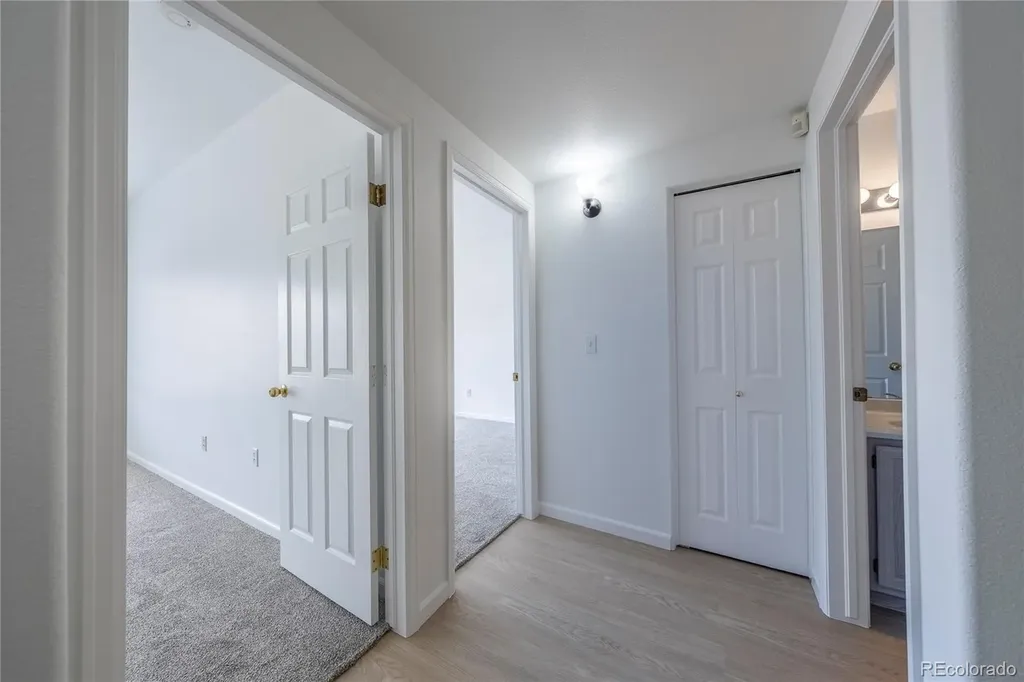 3701 Cactus Creek Court Highlands Ranch CO 80126