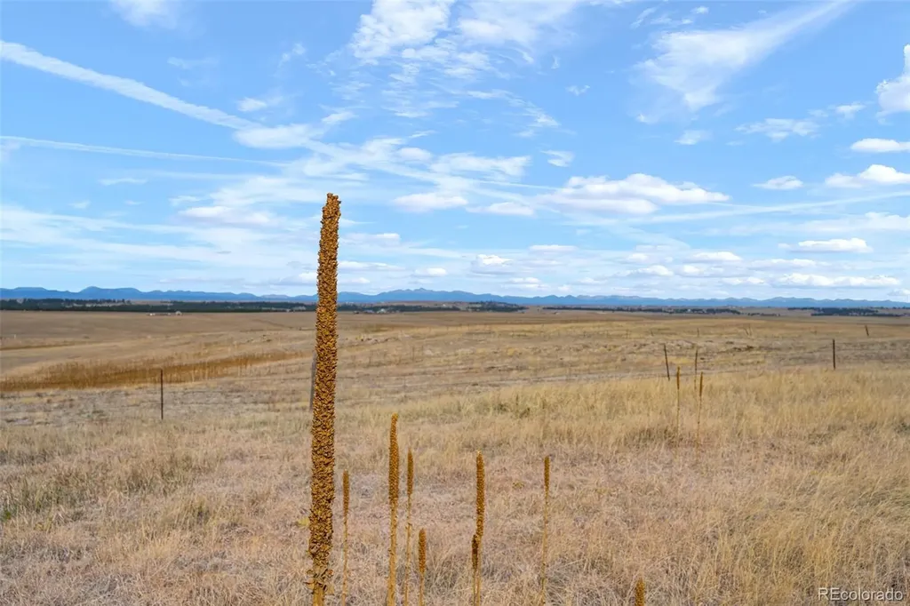 2 County Road 94 Elbert CO 80106