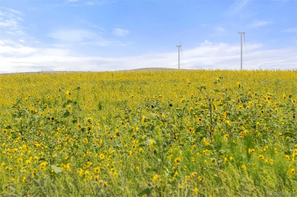 0 Resolis Road Matheson CO 80830