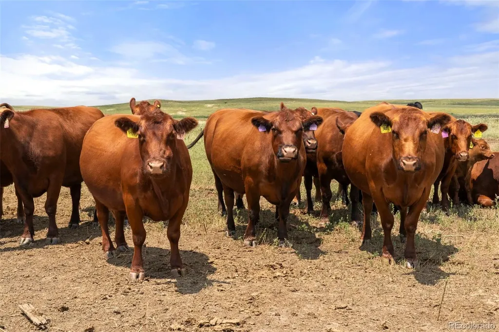 0 Resolis Road Matheson CO 80830