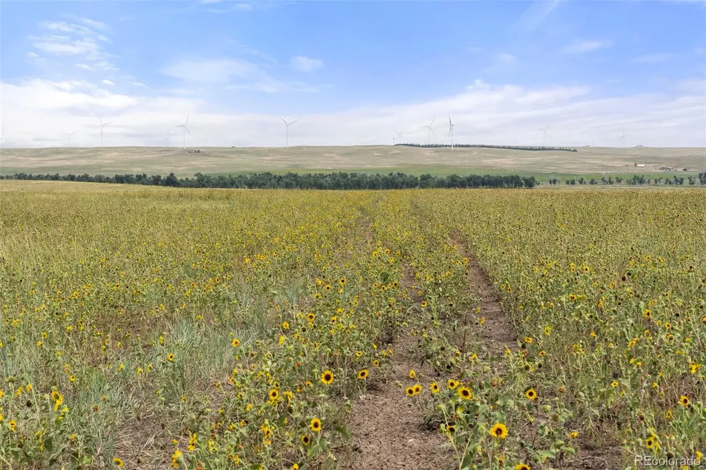0 Resolis Road Matheson CO 80830