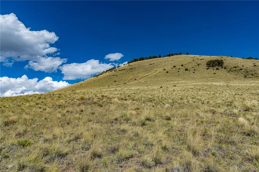 340 Huntley Place Cotopaxi CO 81223