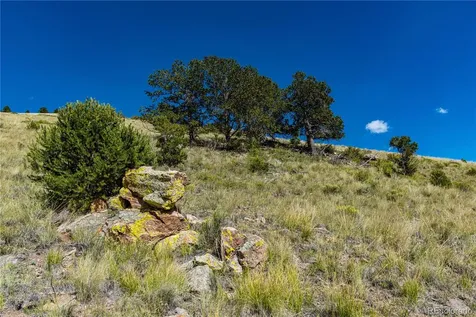 340 Huntley Place Cotopaxi CO 81223