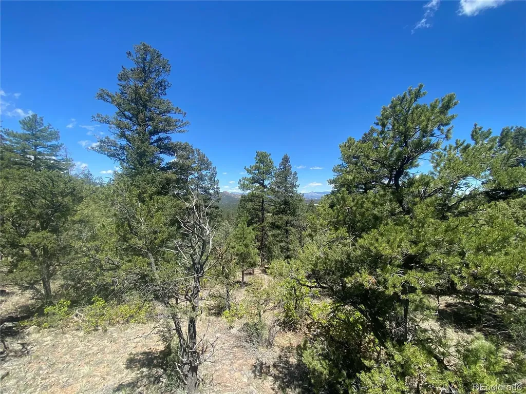 TR-142 17th Trail Cotopaxi CO 81223