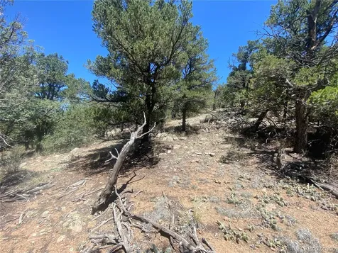 TR-142 17th Trail Cotopaxi CO 81223