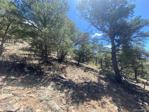 TR-142 17th Trail Cotopaxi CO 81223