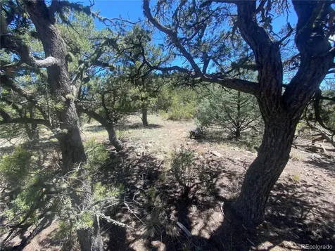 TR-142 17th Trail Cotopaxi CO 81223