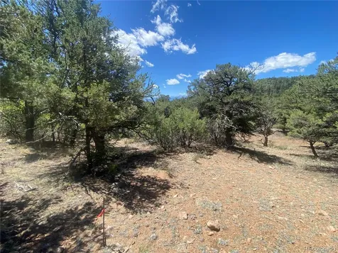 TR-142 17th Trail Cotopaxi CO 81223