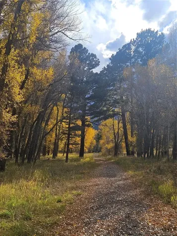 17320 County Road 306 Buena Vista CO 81211