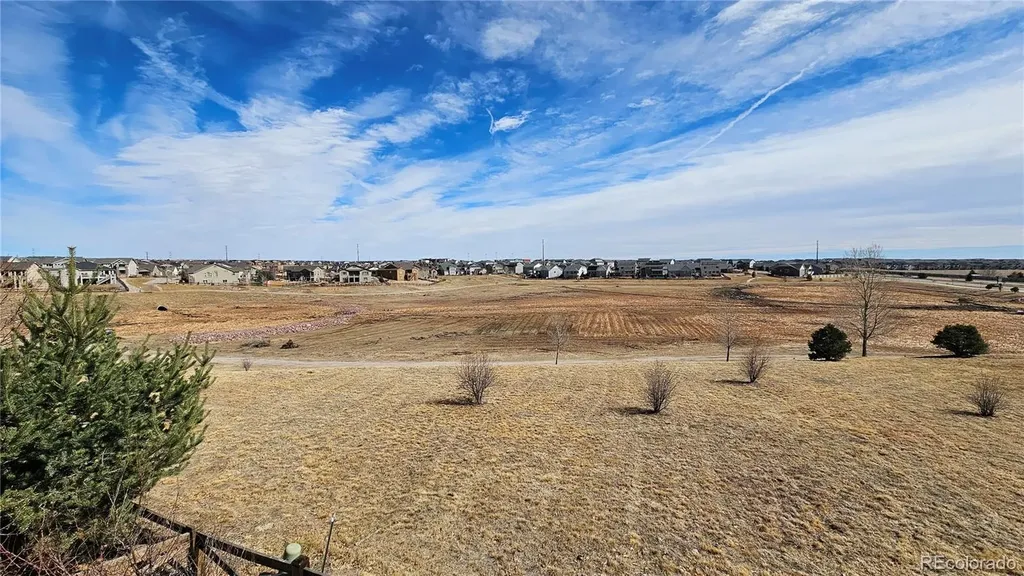 6567 Cottonwood Tree Drive Colorado Springs CO 80927