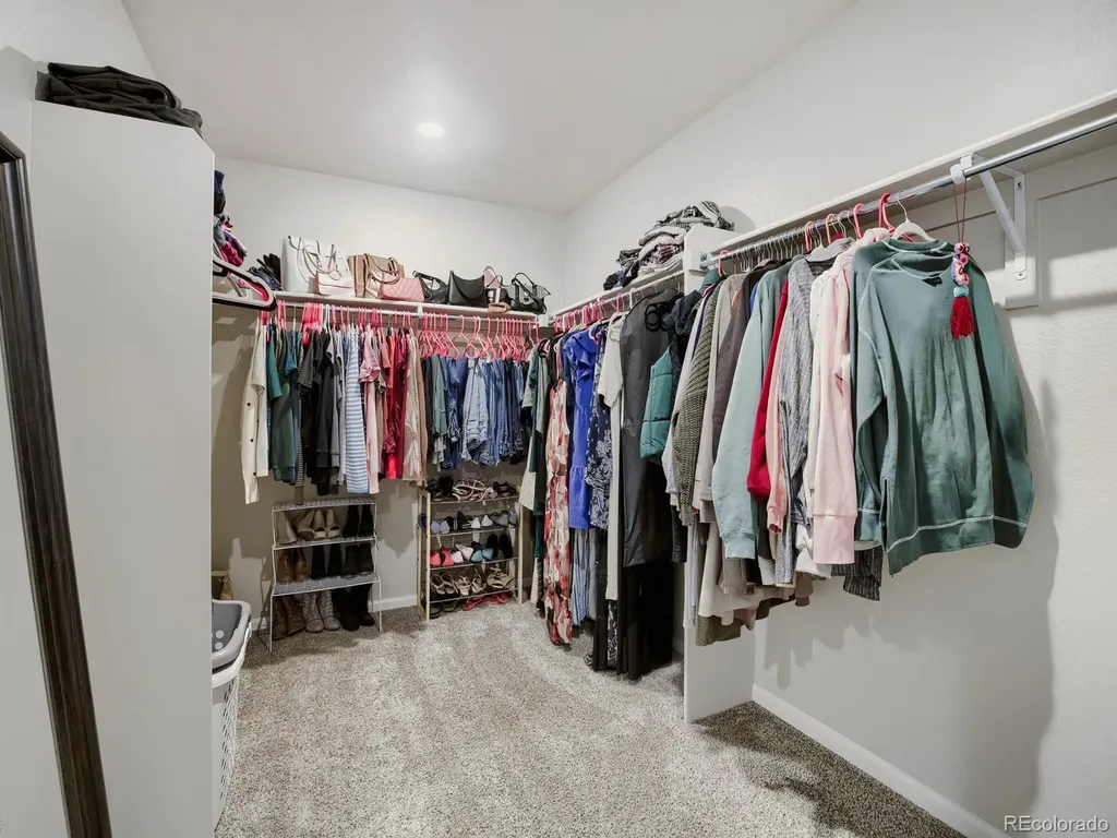 1642 Colorado River Drive Windsor CO 80550