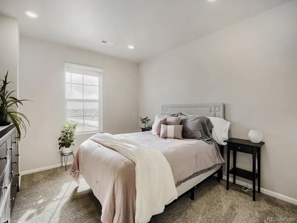 1642 Colorado River Drive Windsor CO 80550