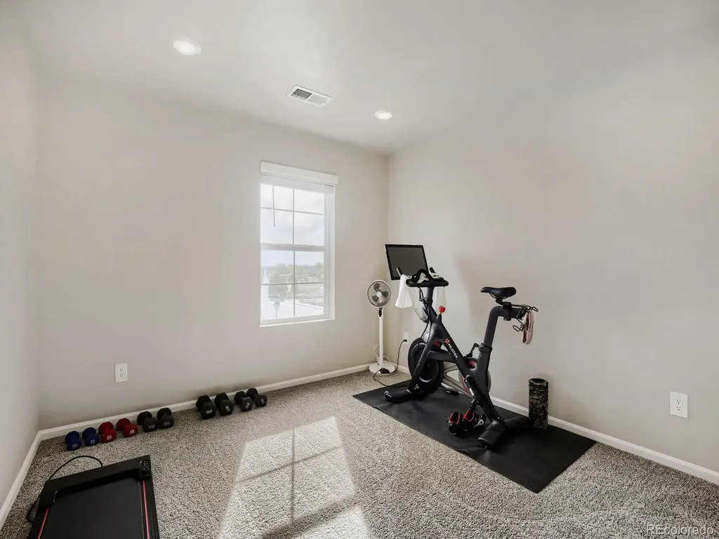1642 Colorado River Drive Windsor CO 80550