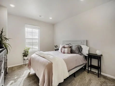 1642 Colorado River Drive Windsor CO 80550