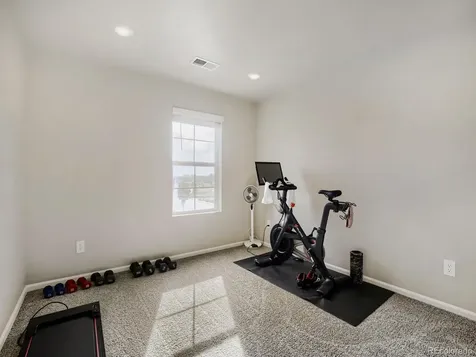 1642 Colorado River Drive Windsor CO 80550