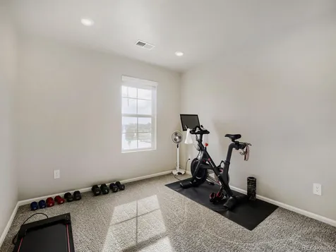 1642 Colorado River Drive Windsor CO 80550