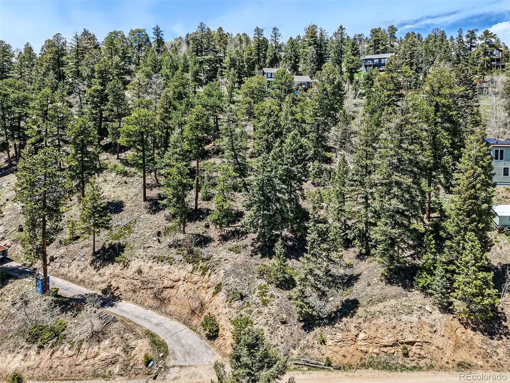 11618 Nichols Way Conifer CO 80433