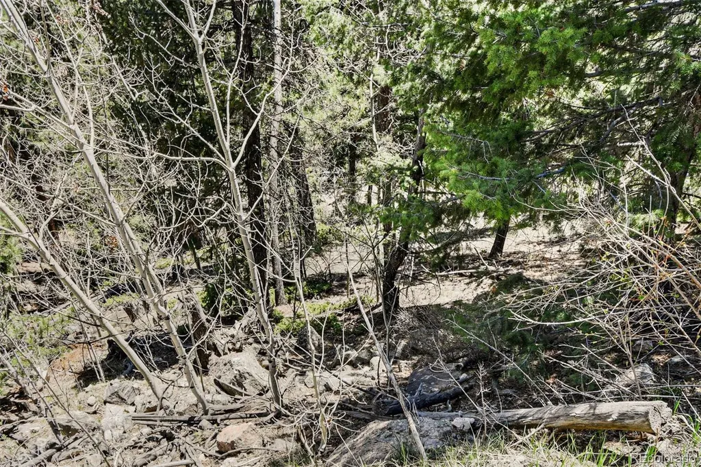 11618 Nichols Way Conifer CO 80433