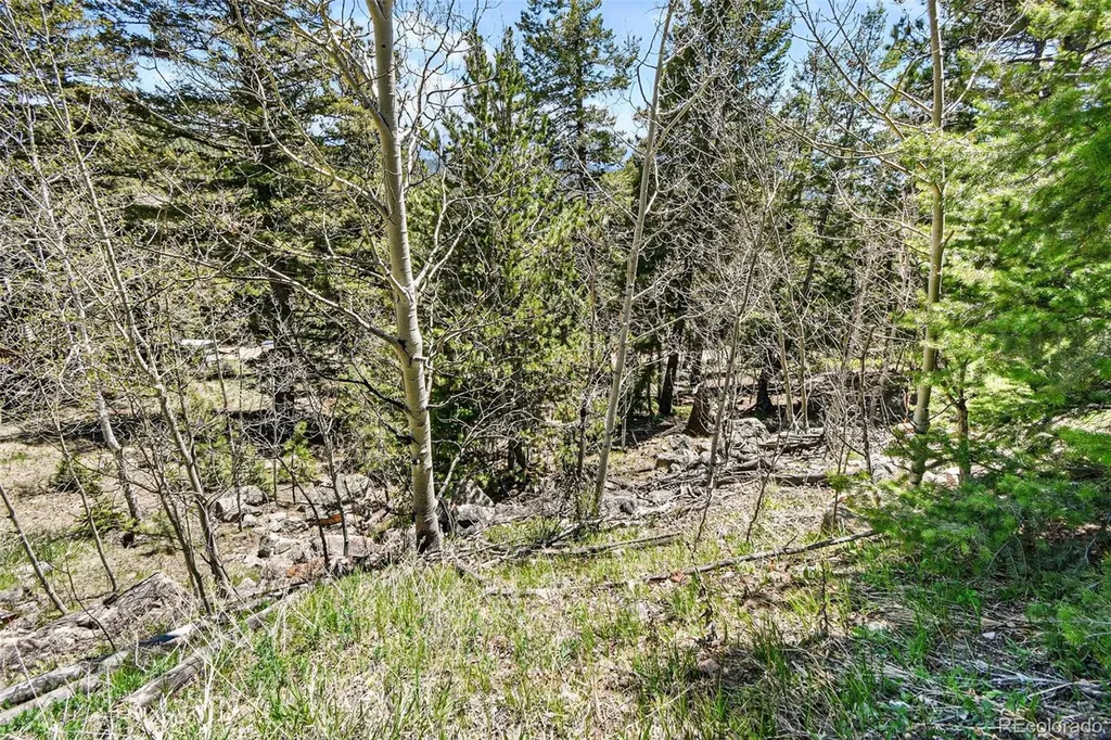 11618 Nichols Way Conifer CO 80433