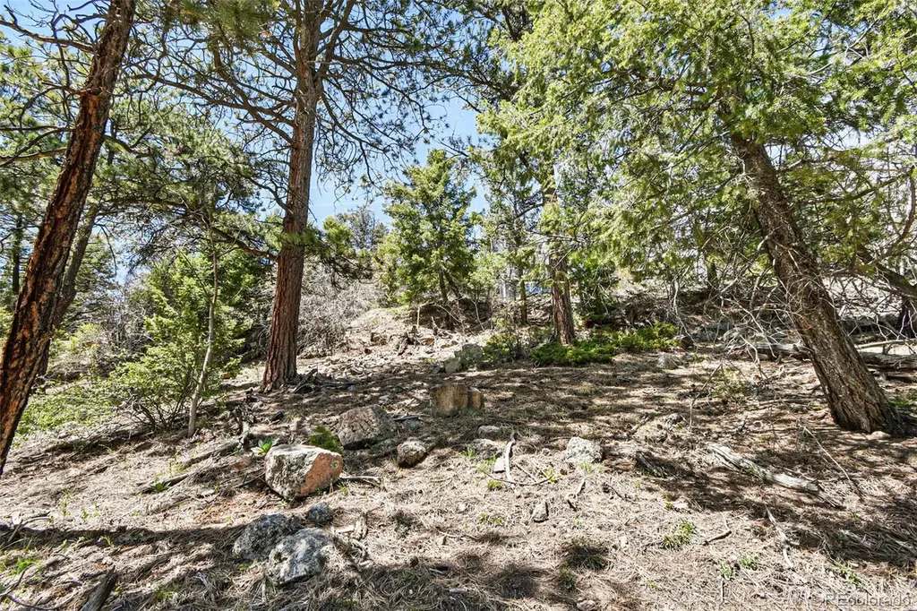 11618 Nichols Way Conifer CO 80433