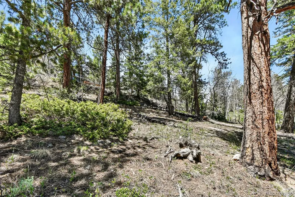 11618 Nichols Way Conifer CO 80433